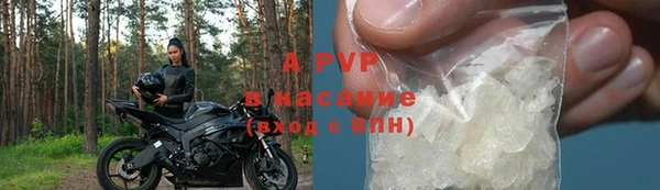 ГАЛЛЮЦИНОГЕННЫЕ ГРИБЫ Вяземский