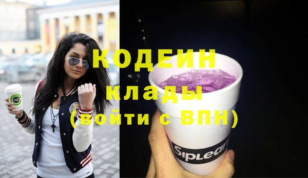 ГАЛЛЮЦИНОГЕННЫЕ ГРИБЫ Вяземский