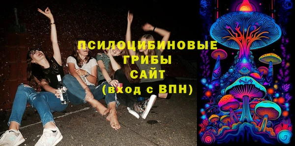 амф Вязьма