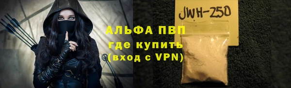 ГАЛЛЮЦИНОГЕННЫЕ ГРИБЫ Вяземский