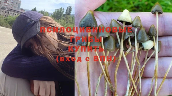 герыч Вязники