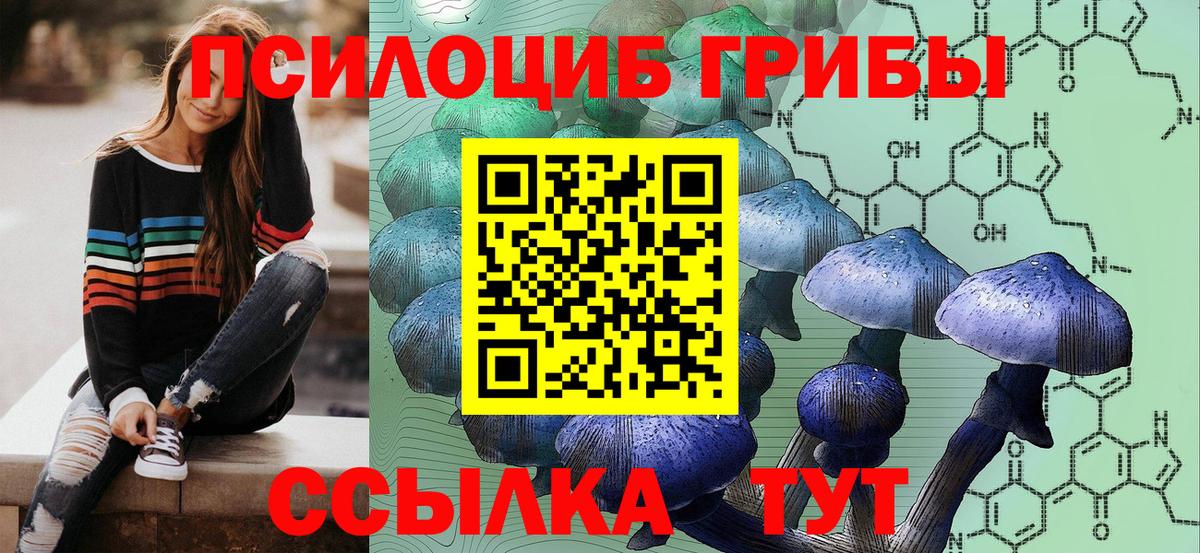 Псилоцибиновые грибы мицелий Моршанск