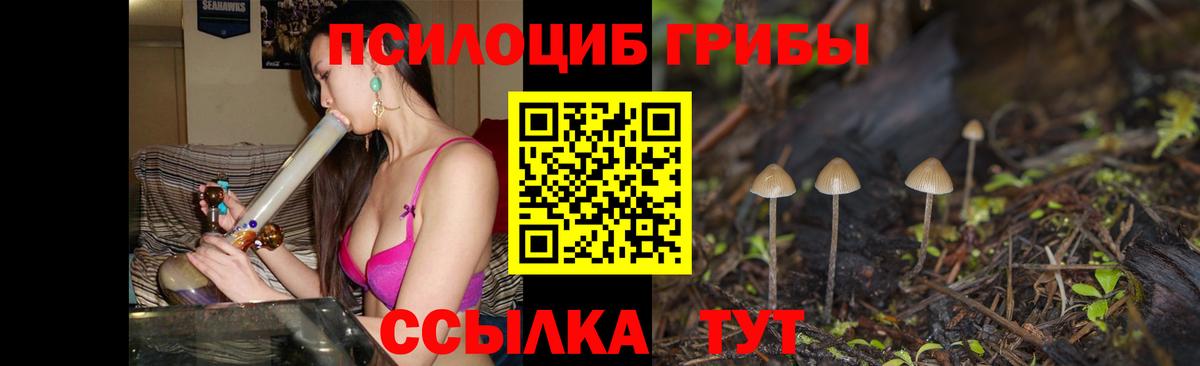 Псилоцибиновые грибы Psilocybine cubensis  Вход с VPN  Псилоцибиновые грибы Psilocybine cubensis  Моршанск 