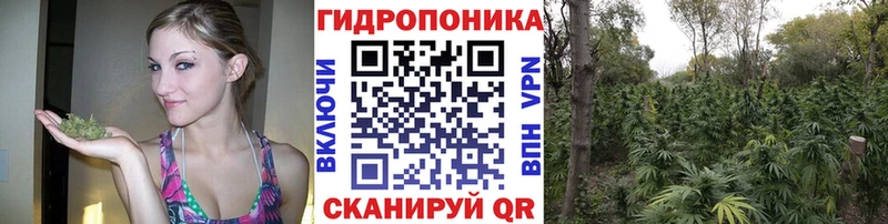 Каннабис AK-47  где найти   Моршанск 